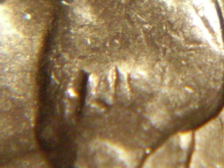 State-Quarter-Error-Or-Die-Cracks?-Check-The-Cracks